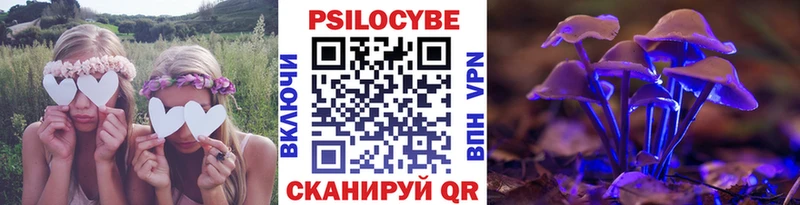 Псилоцибиновые грибы Psilocybe Майский